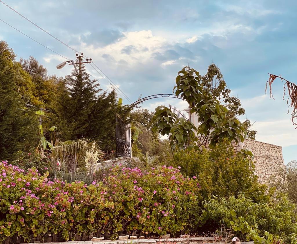 Hotel Imperial Dhermi Luaran gambar
