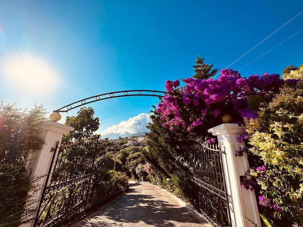 Hotel Imperial Dhermi Luaran gambar